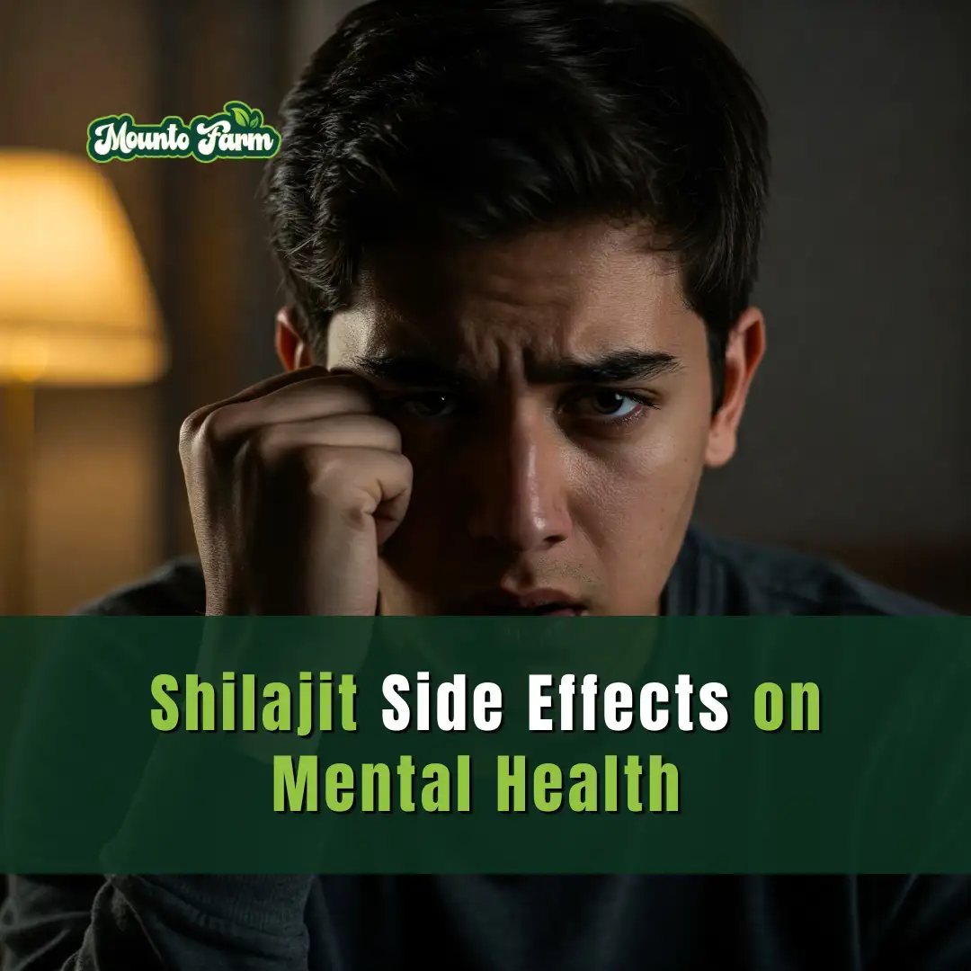 Shilajit Side Effects on Mental Health & How to Avoid Them