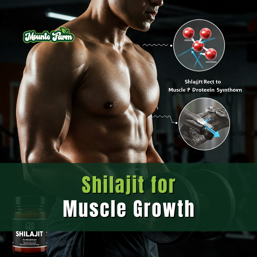 Read more about the article Shilajit for Muscle Growth: The Natural Supplement That’s Changing the Game