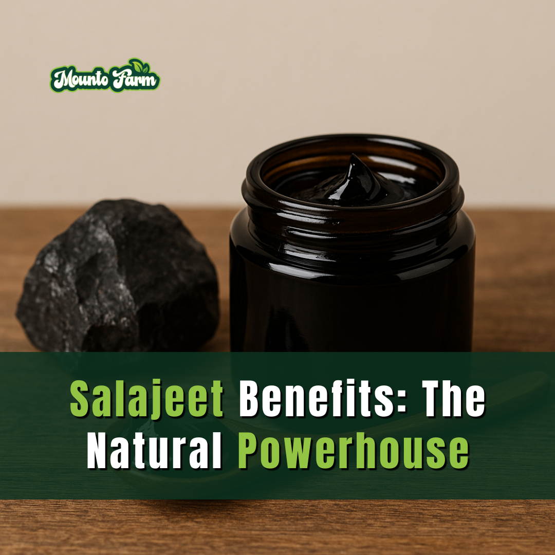 Salajeet Benefits: The Natural Powerhouse