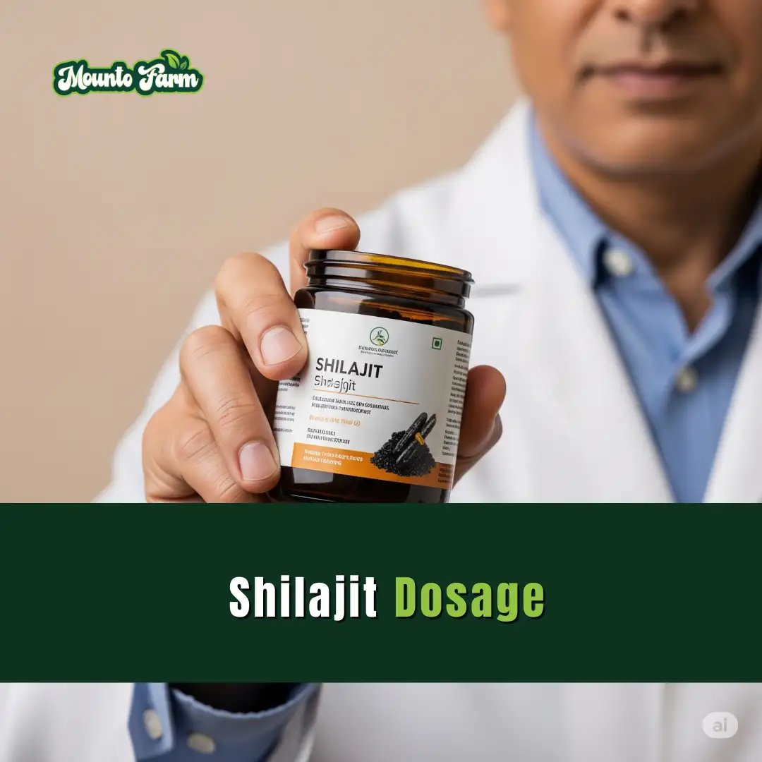 Read more about the article Shilajit Dosage Exposed: Are You Using It the Right Way?