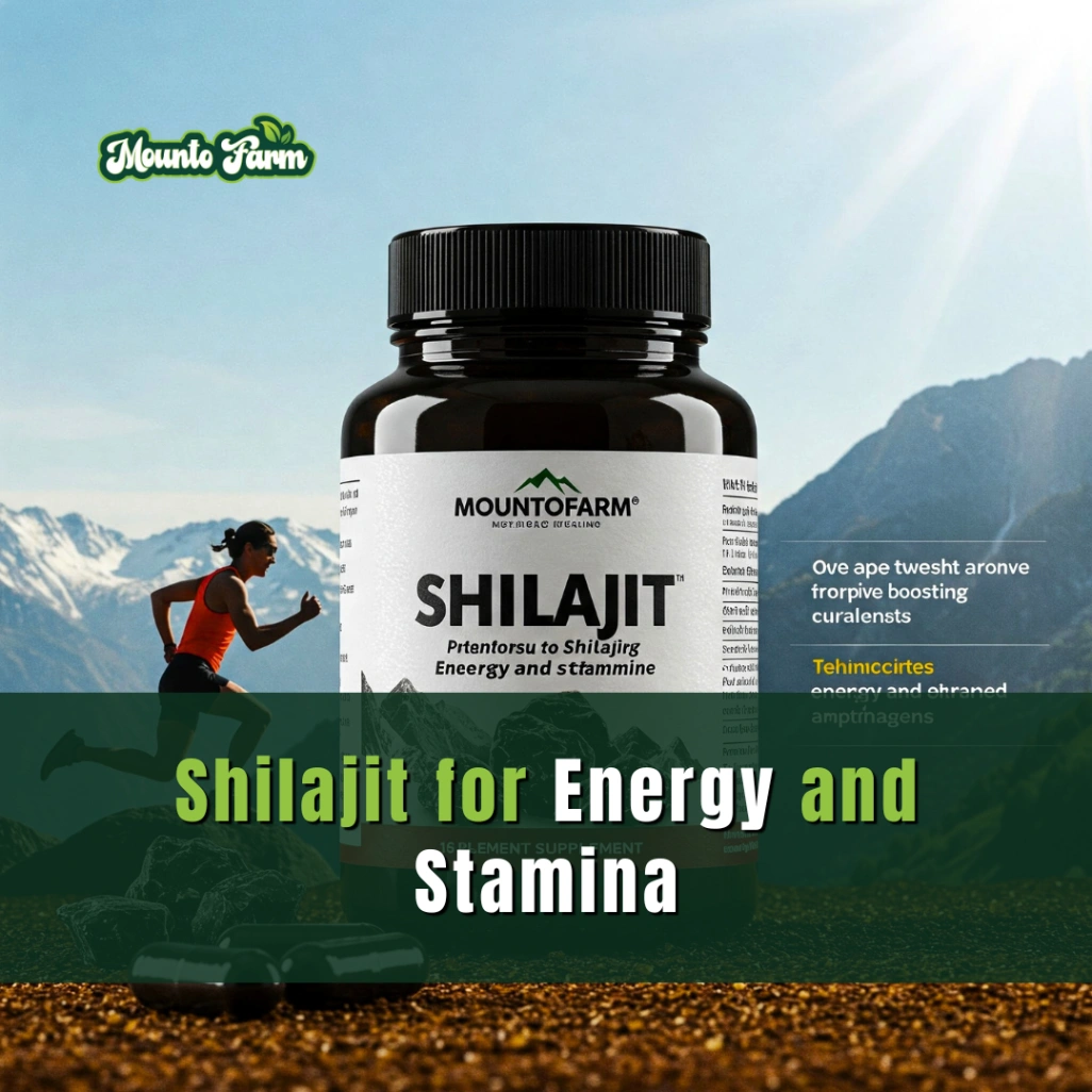 shilajit for energy and stamina