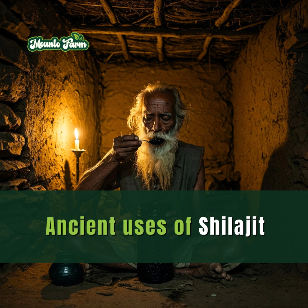 Read more about the article Ancient Uses of Shilajit: A Timeless Remedy Rediscovered for Modern Health