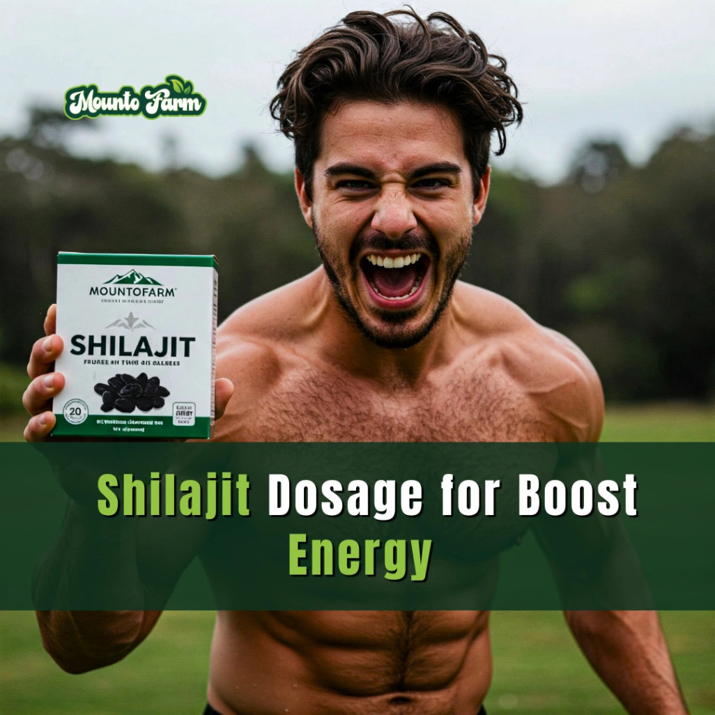Shilajit Dosage for Energy: The Ultimate Guide to Boosting Vitality Naturally