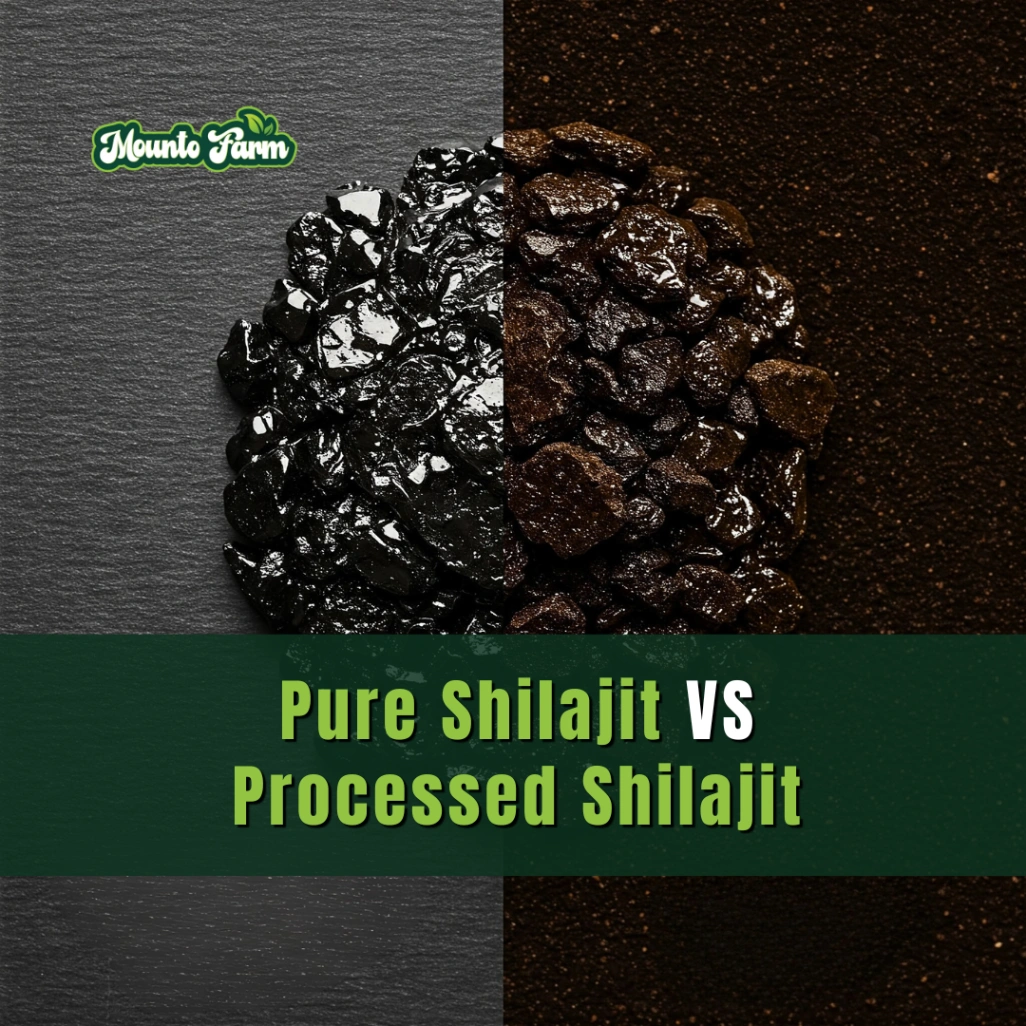 Pure Shilajit vs Processed Shilajit: What’s the Real Difference?