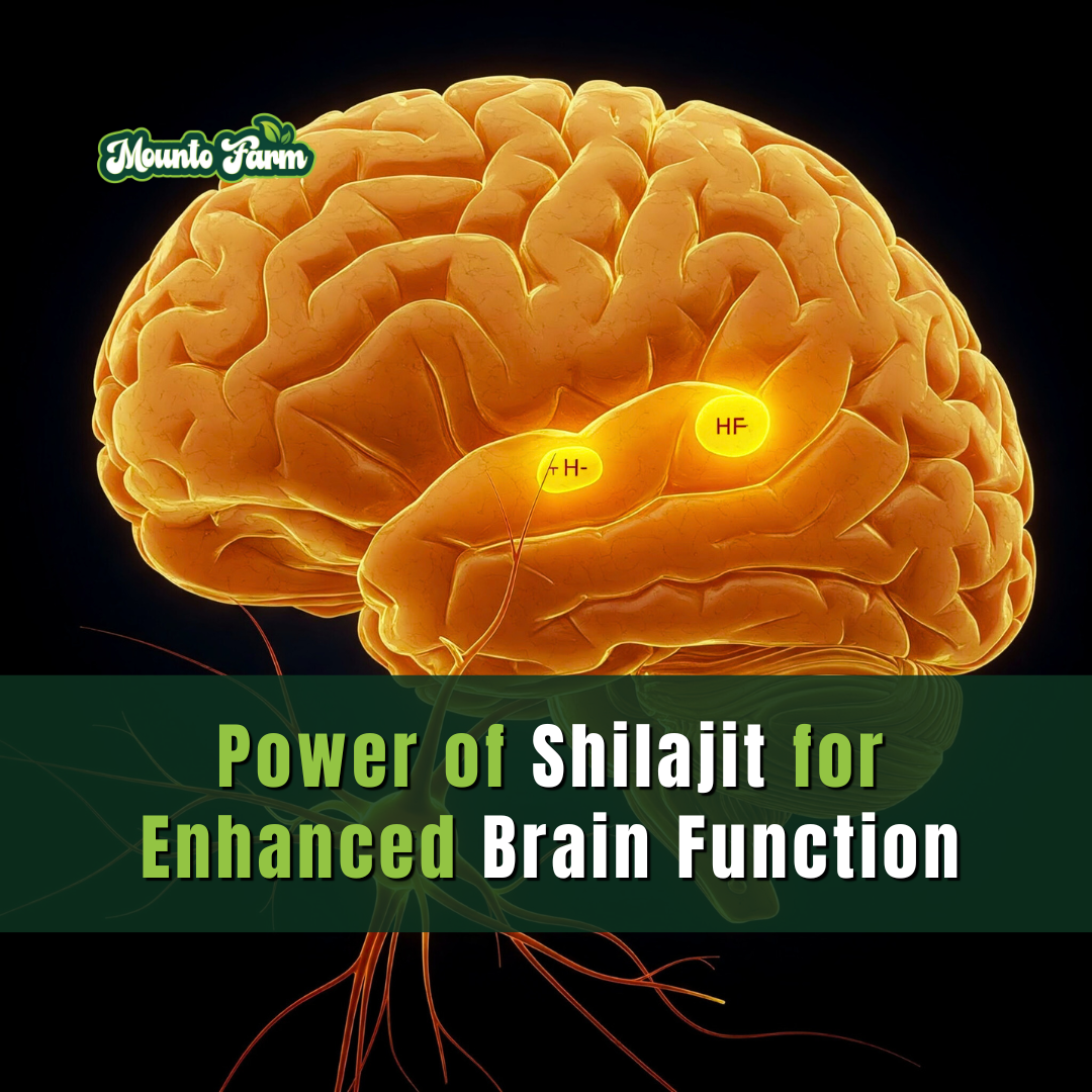 Unlock the Power of Shilajit for Enhanced Brain Function: Benefits You Need to Know