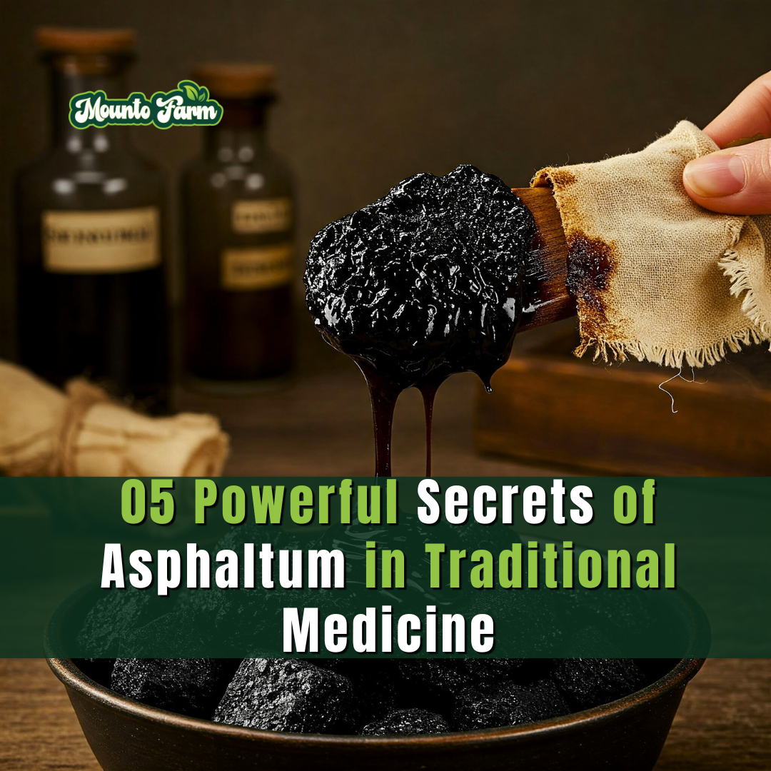 Asphaltum in Traditional Medicine: Nature’s Ancient Healing Resin