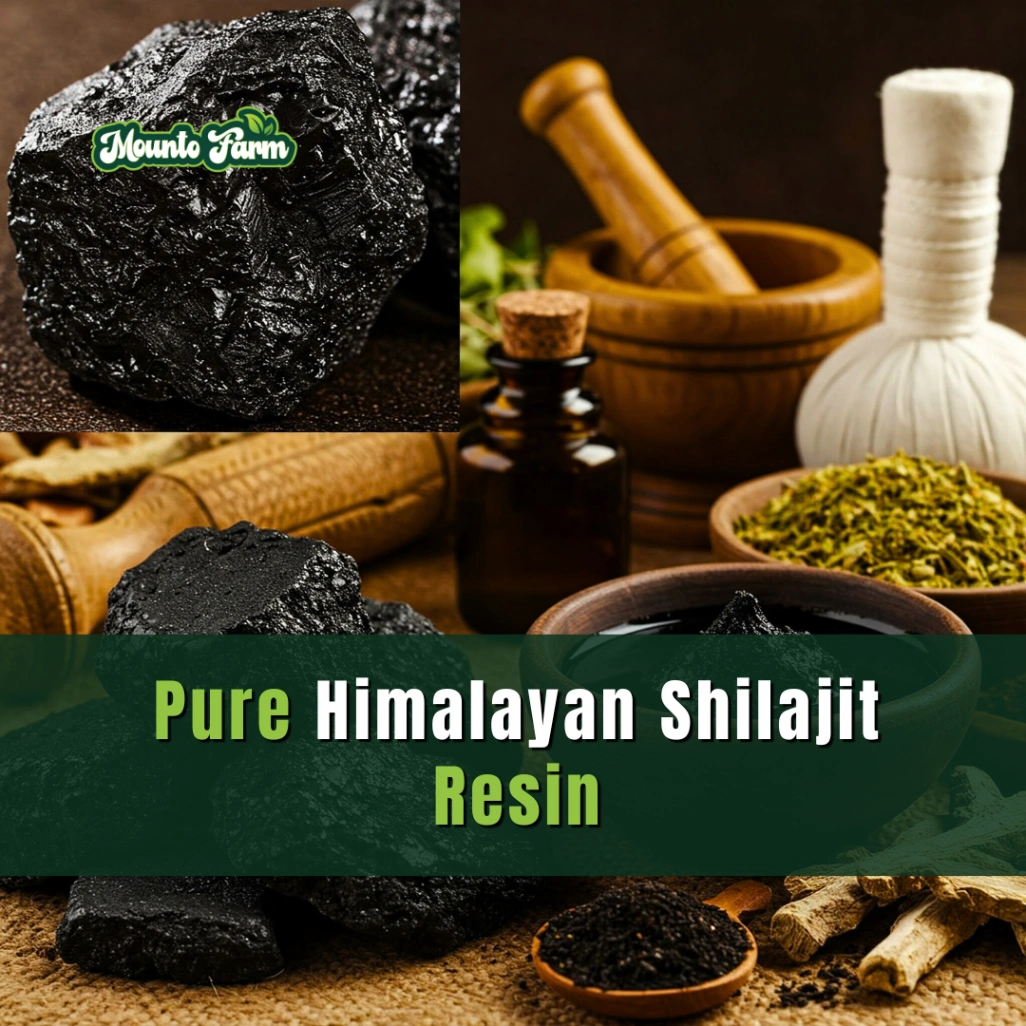 Unlock the Power of Pure Himalayan Shilajit Resin: Nature’s Ancient Super Supplement