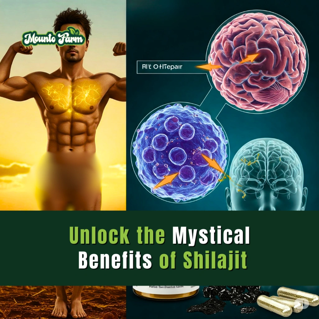 Unlock the Mystical Benefits of Shilajit