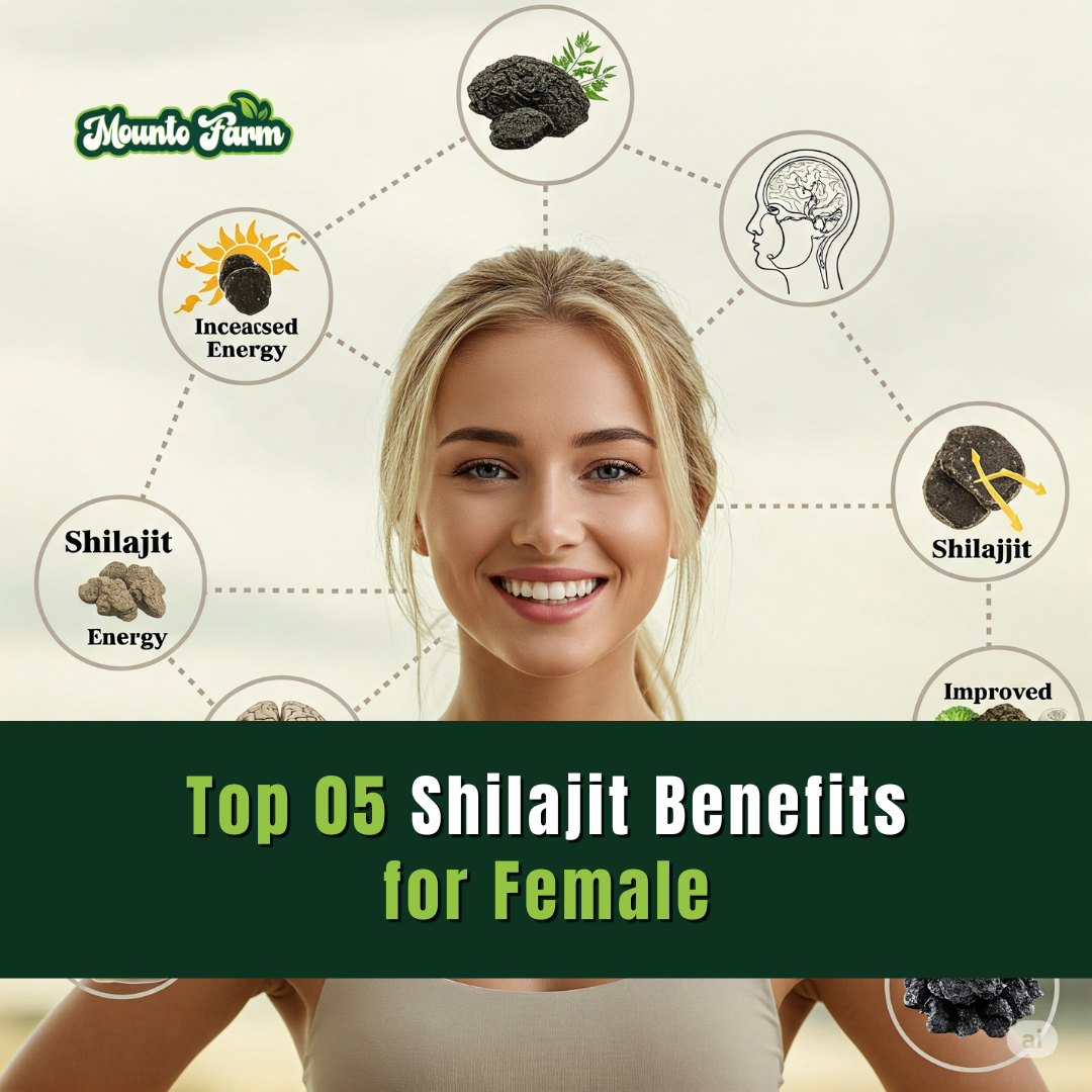 Read more about the article Top 05 Shilajit Benefits for Female Wellness: What Every Woman Should Know