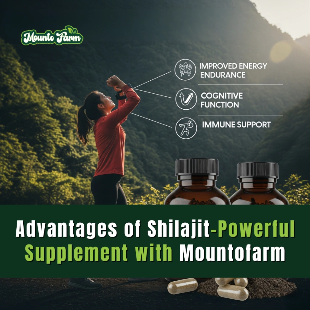 Advantages of Shilajit: Unlocking Nature’s Most Powerful Supplement with Mountofarm