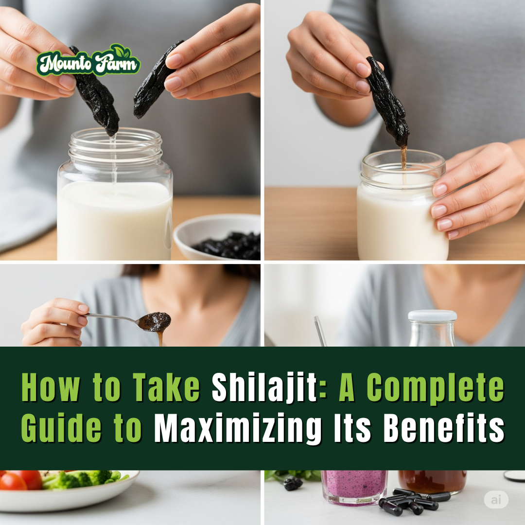 Read more about the article How to Take Shilajit: Dosage & Usage Guide (2025)