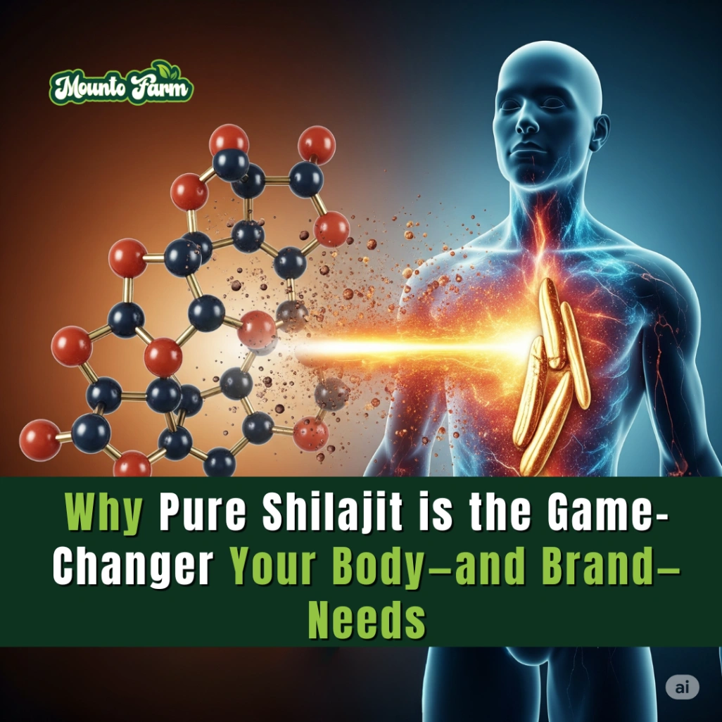 Read more about the article Why Pure Shilajit is the Game-Changer Your Body—and Brand—Needs