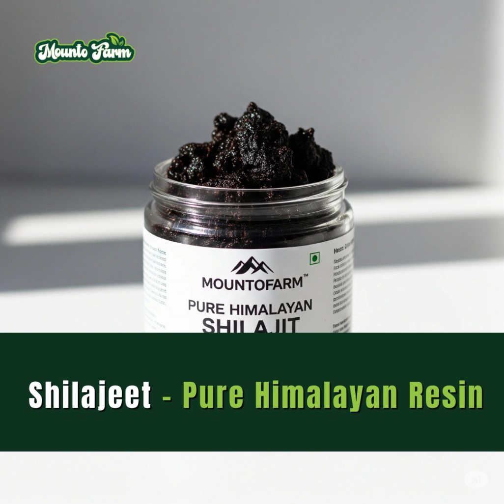 Read more about the article Shilajeet – The Ultimate Guide to Nature’s Miracle Resin | Buy Wholesale & Private Label with Mountofarm