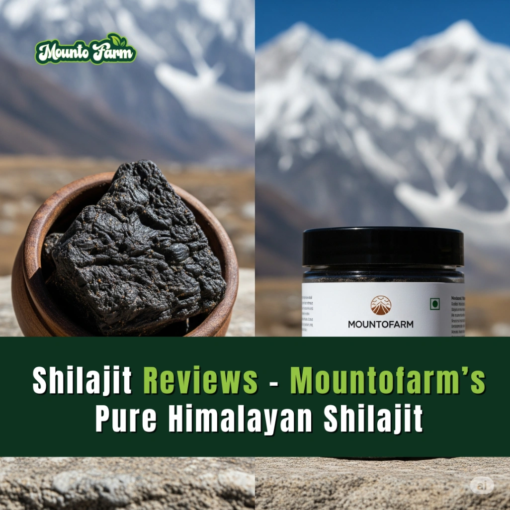 Read more about the article Shilajit Reviews: What Real Users Say About Mountofarm’s Pure Himalayan Shilajit