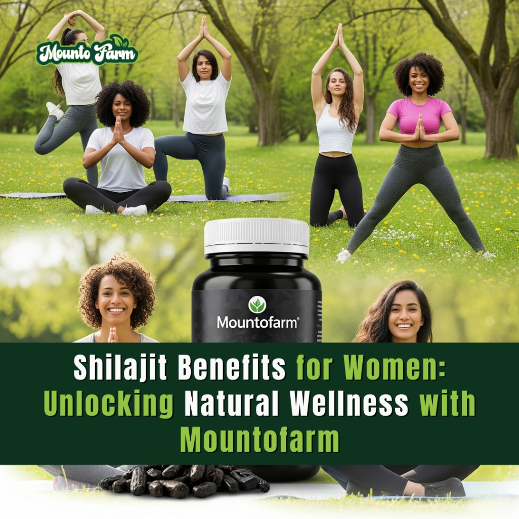Read more about the article Shilajit Benefits for Women: Health & Wellness Guide