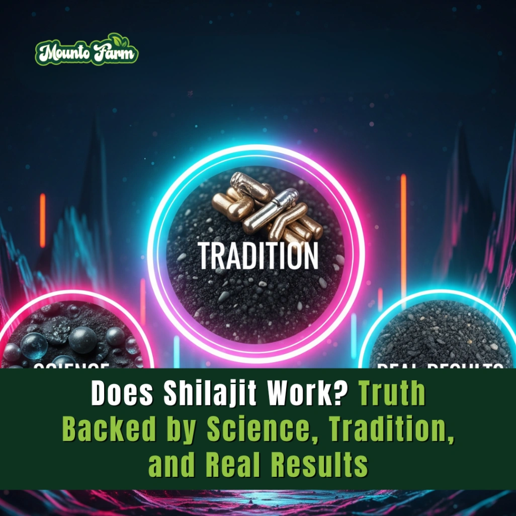 Does Shilajit Work? Truth Backed by Science, Tradition, and Real Results
