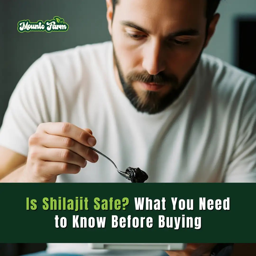 Read more about the article Is Shilajit Safe? What You Need to Know Before Buying