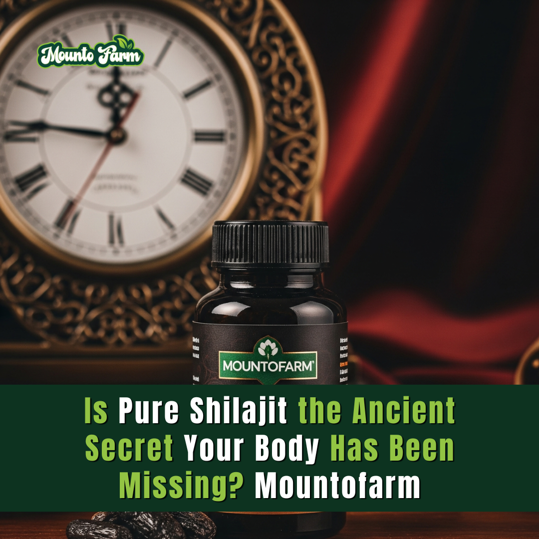 Is Pure Shilajit the Ancient Secret Your Body Has Been Missing? Mountofarm