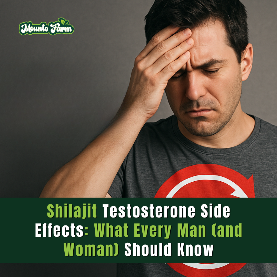 Read more about the article Shilajit Testosterone Side Effects: What Every Man (and Woman) Should Know