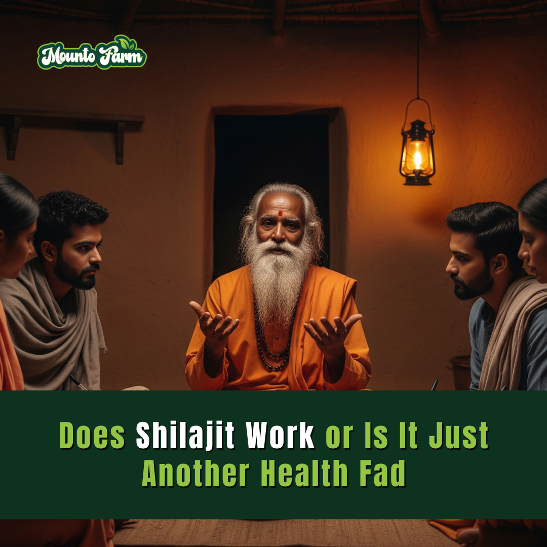Does Shilajit Work or Is It Just Another Health Fad? Find Out Here