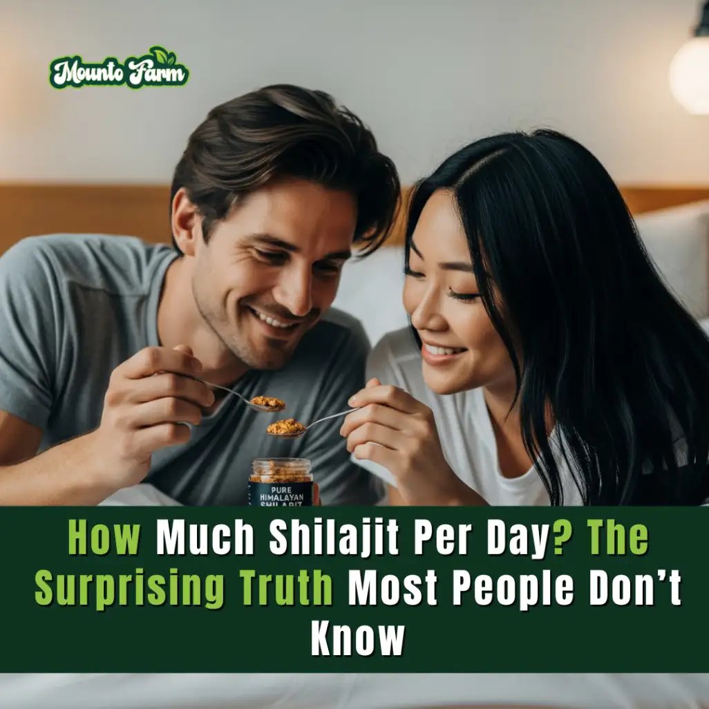 How Much Shilajit Per Day? The Surprising Truth Most People Don’t Know