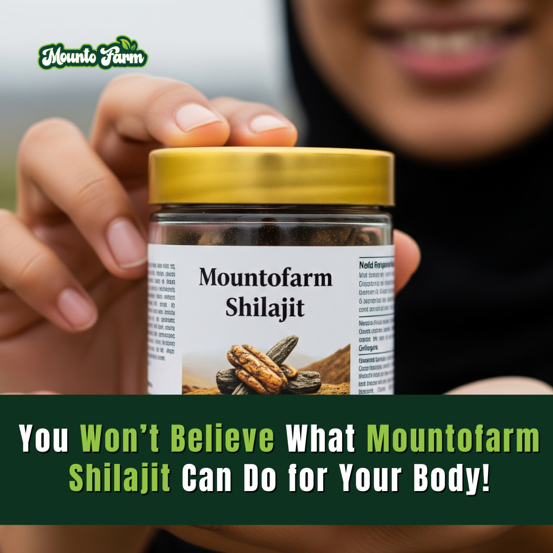 Read more about the article You Won’t Believe What Mountofarm Shilajit Can Do for Your Body!