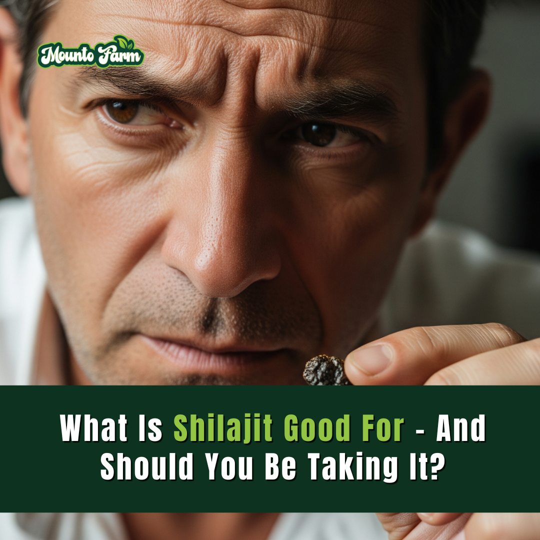 What Is Shilajit Good For – And Should You Be Taking It?