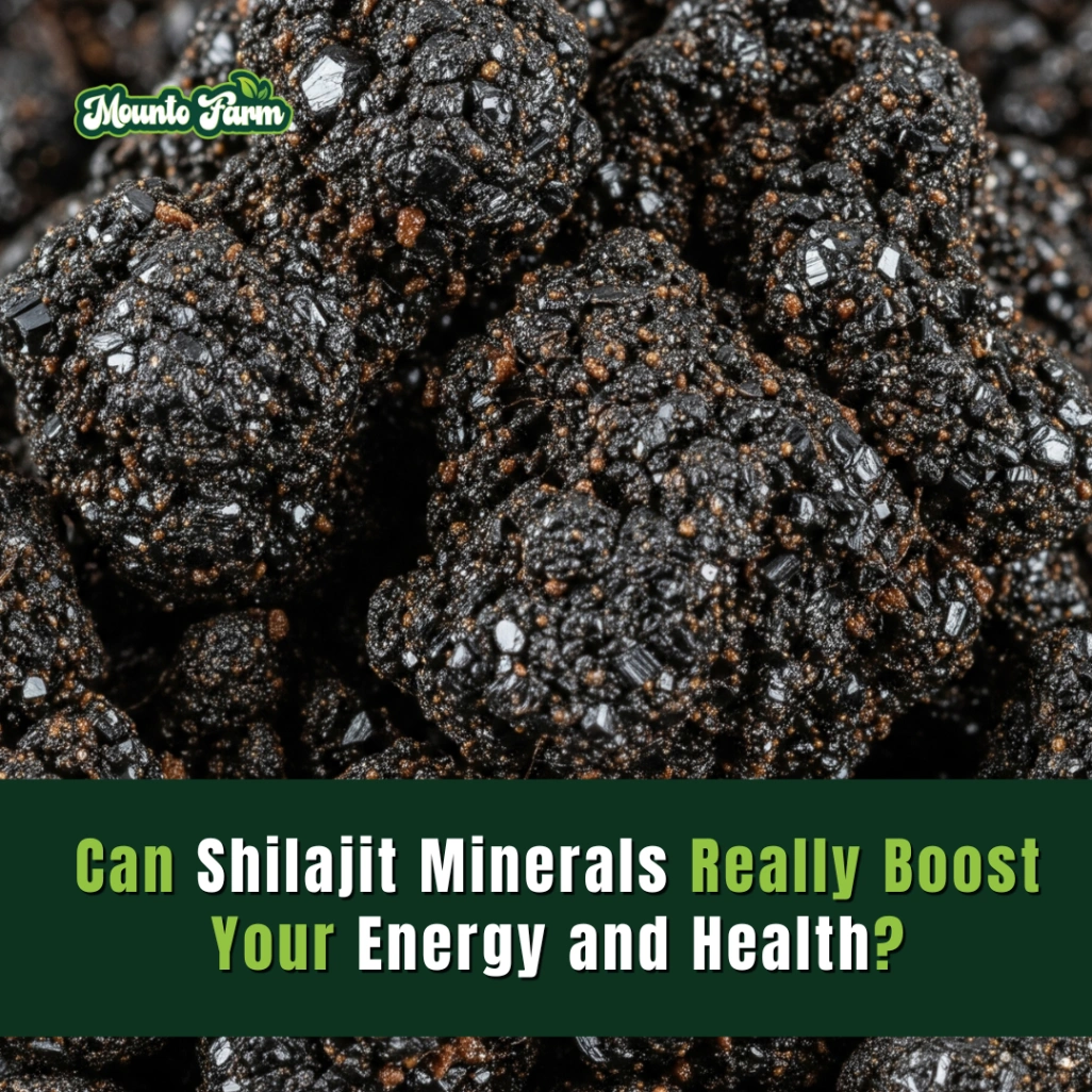 Can Shilajit Minerals Really Boost Your Energy and Health?