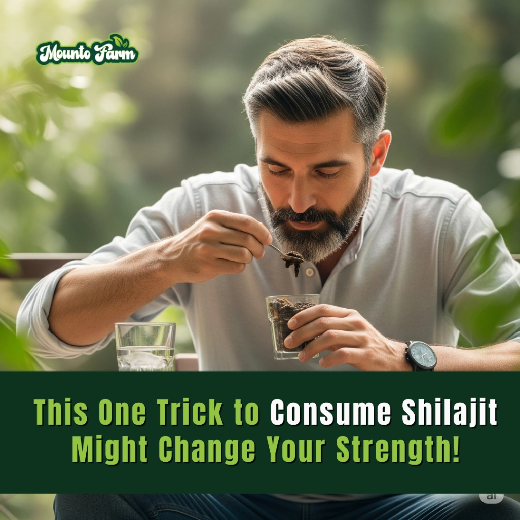 This One Trick to Consume Shilajit Might Change Your strength!