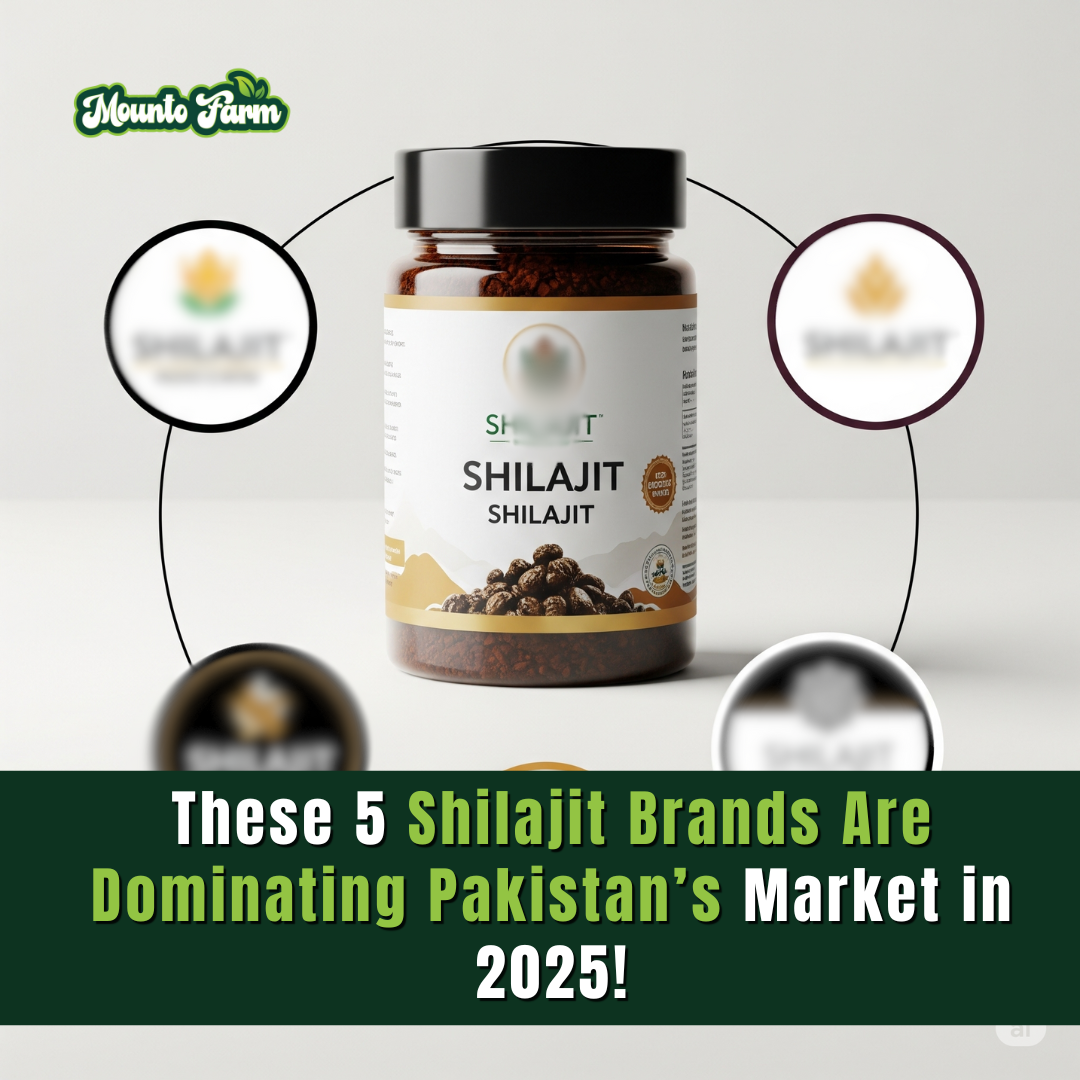 These 5 Shilajit Brands Are Dominating Pakistan’s Market in 2025!