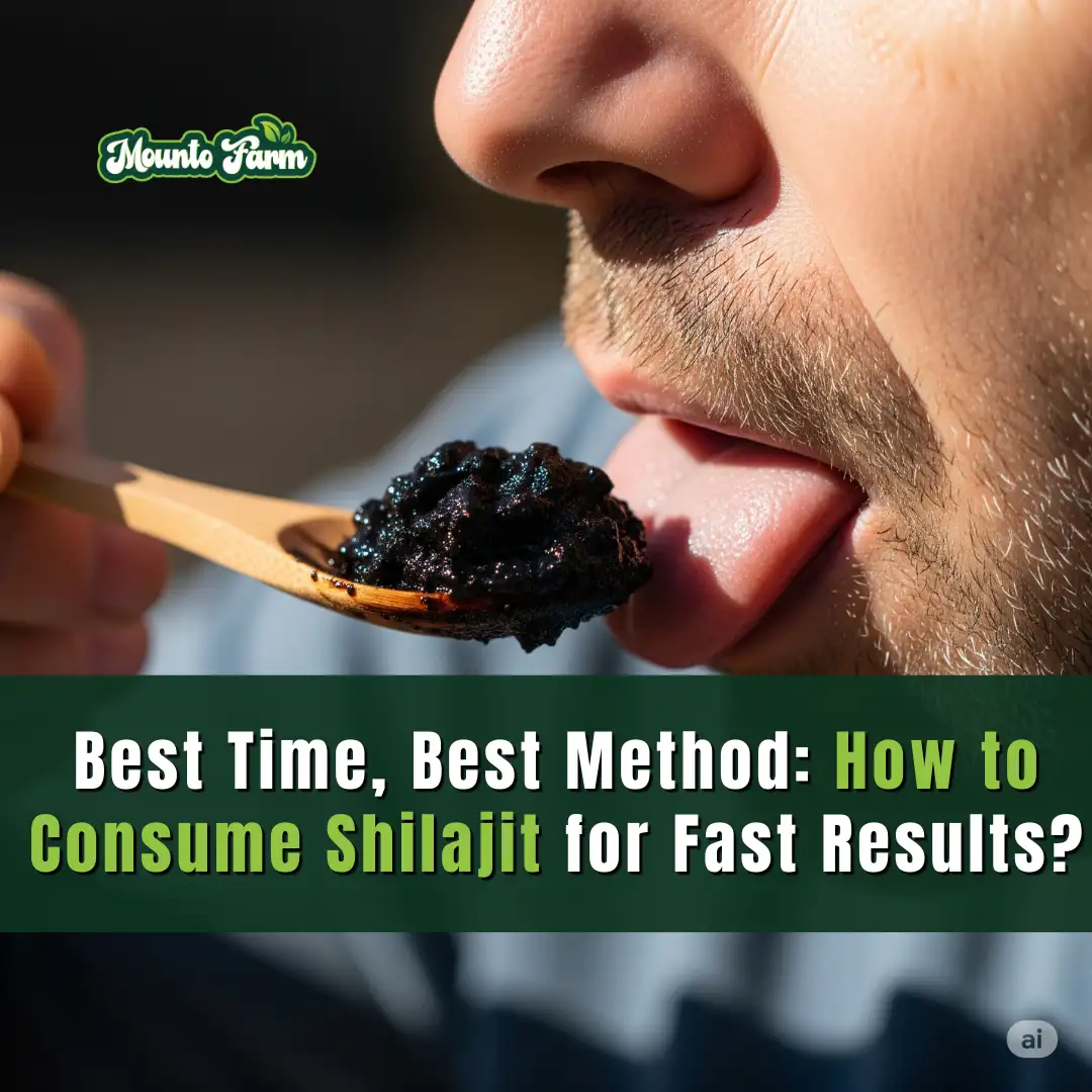 Best Time, Best Method: How to Consume Shilajit for Fast Results?