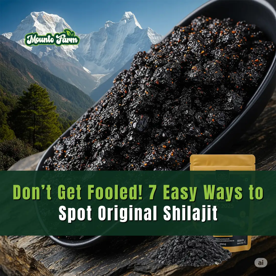 7 Easy Ways to Spot Original Shilajit