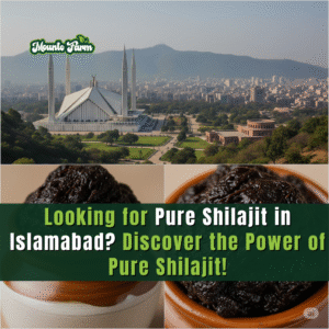 Looking for Pure Shilajit in Islamabad? Discover the Power of Pure Shilajit!
