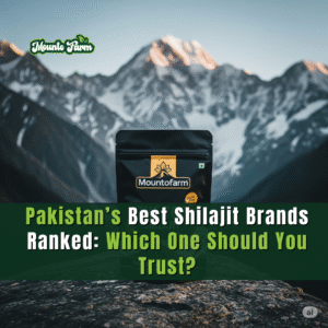 Best Shilajit Brands in Pakistan: Which One Should You Trust?