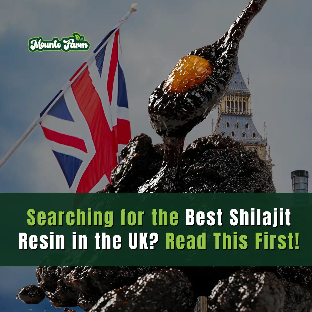 Search for the best shilajit resin uk