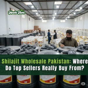 Shilajit Wholesale Pakistan: Where Do Top Sellers Really Buy From?