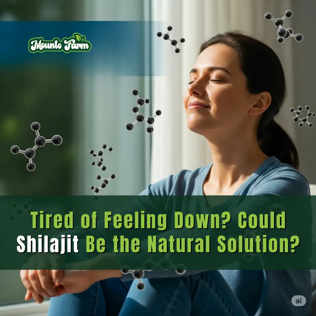 shilajit depression-Tired of Feeling Down? Could Shilajit Be the Natural Solution?