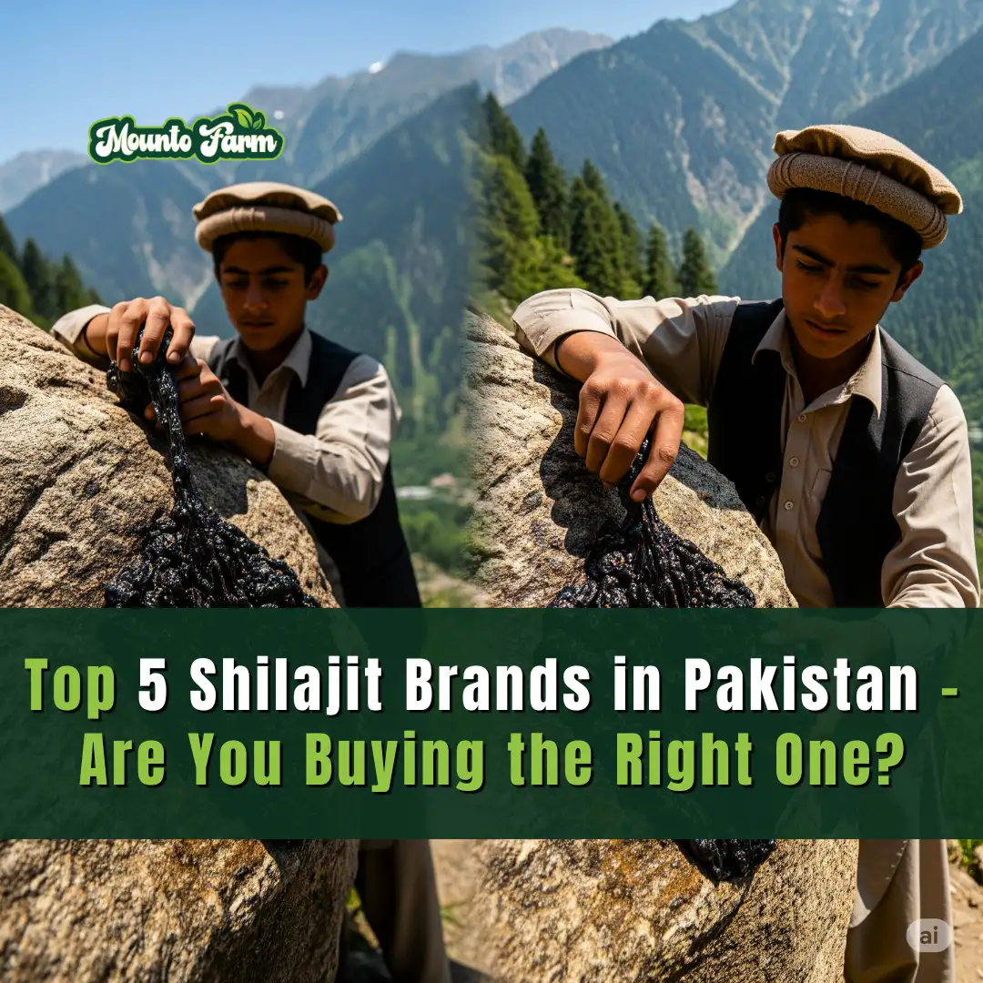 Top 5 Shilajit Brands in Pakistan – Are You Buying the Right One?