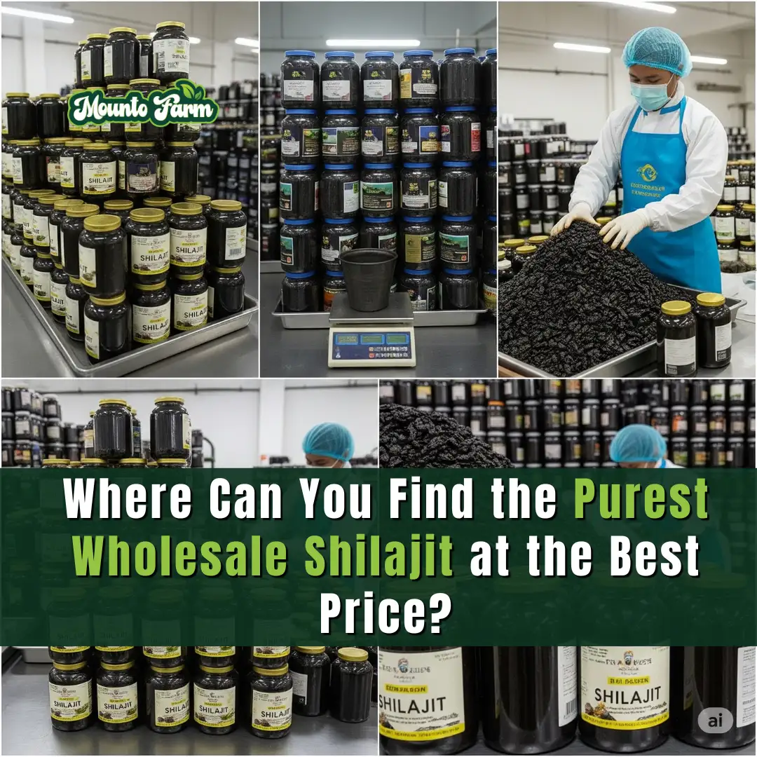 Where Can You Find the Purest Wholesale Shilajit at the Best Price?