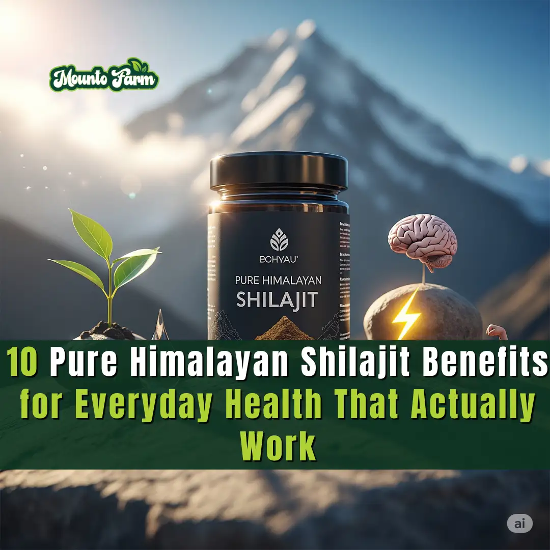 Read more about the article 10 Pure Himalayan Shilajit Benefits for Everyday Health That Actually Work