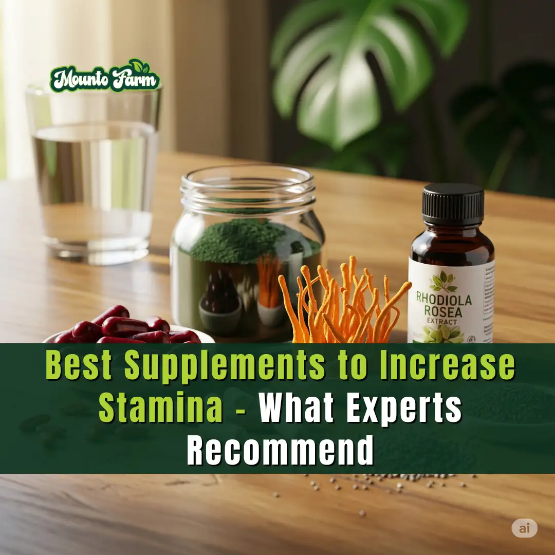 Read more about the article Best Supplements to Increase Stamina – What Experts Recommend