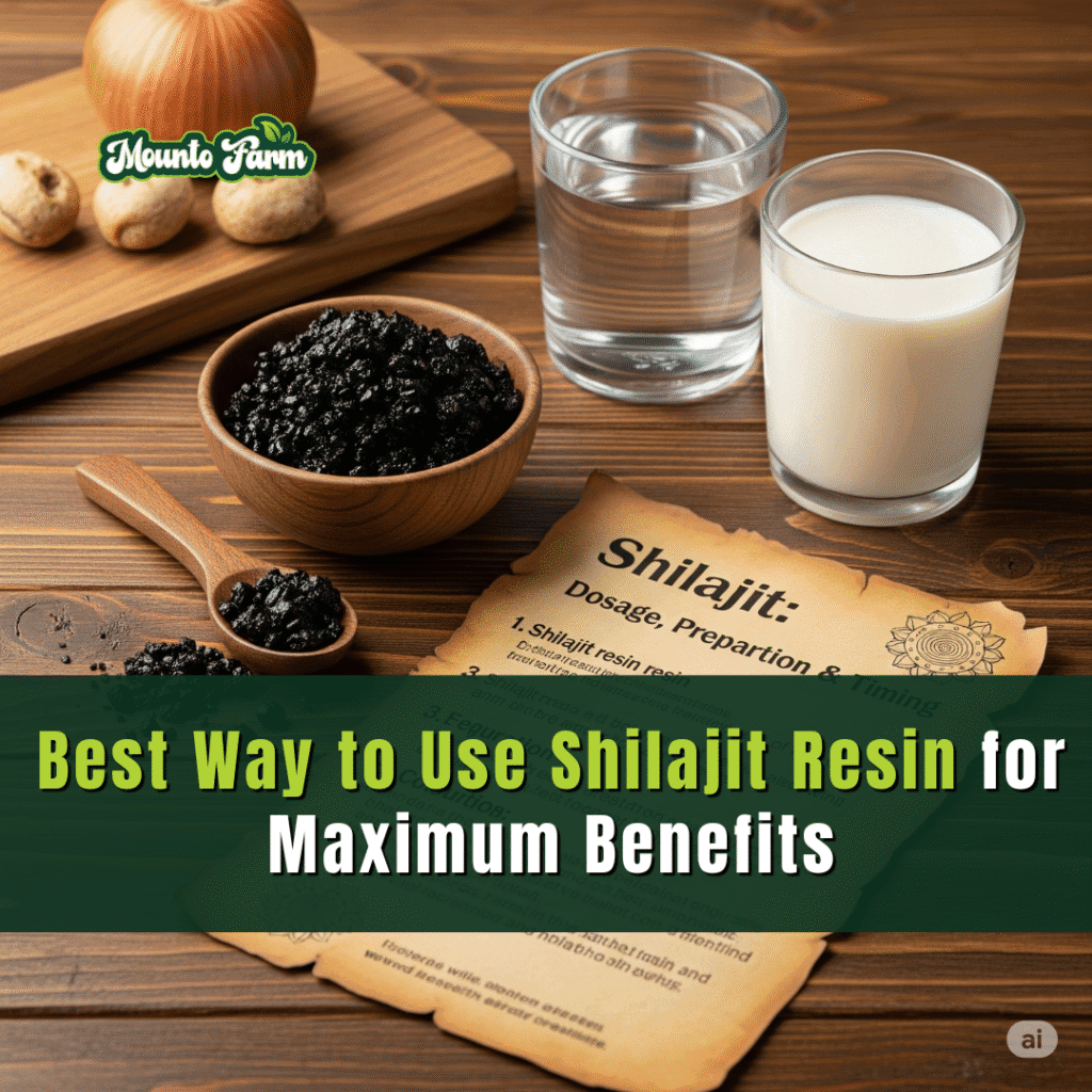 How to Use Shilajit Resin Properly – Water or Milk?