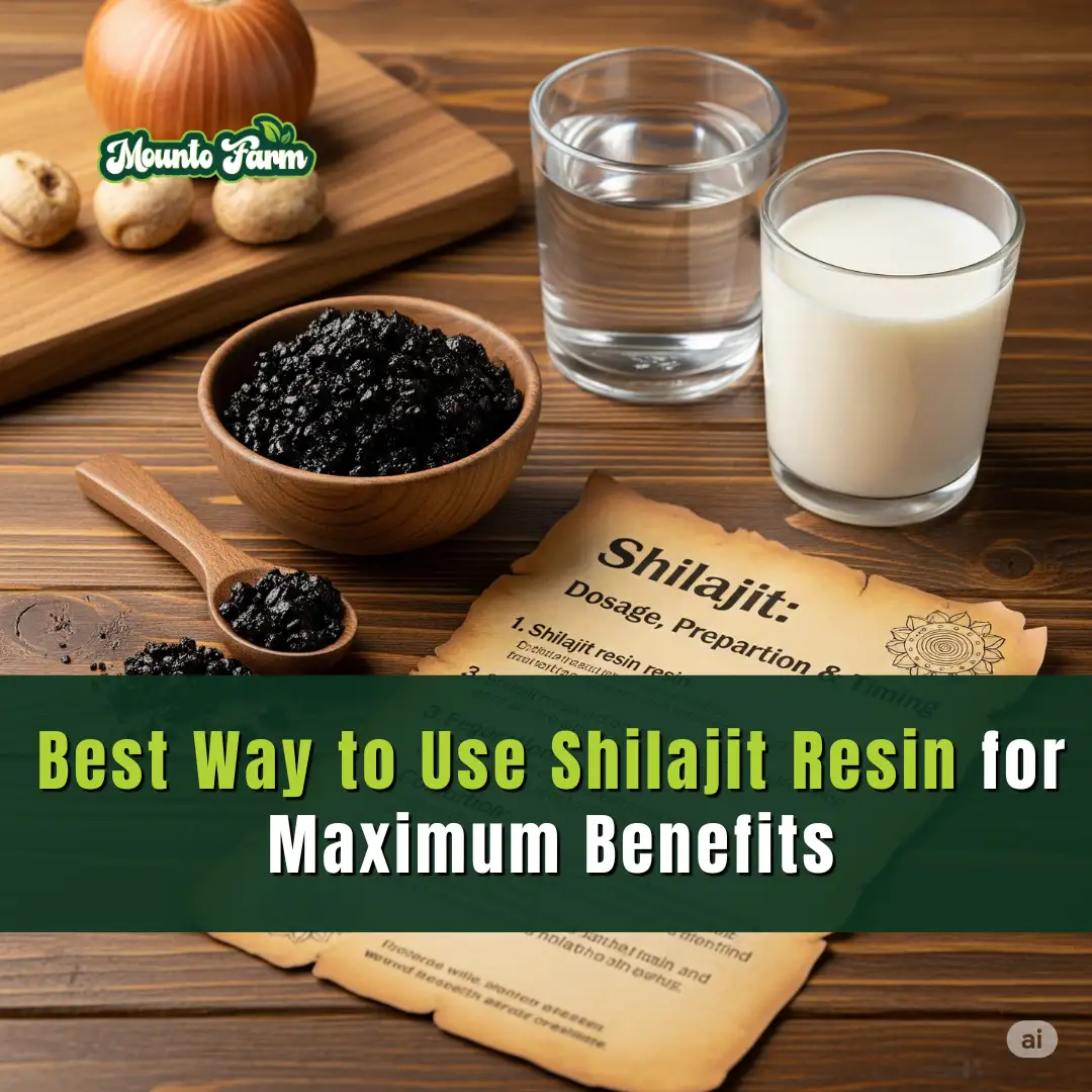 Read more about the article Best Way to Use Shilajit Resin for Maximum Benefits