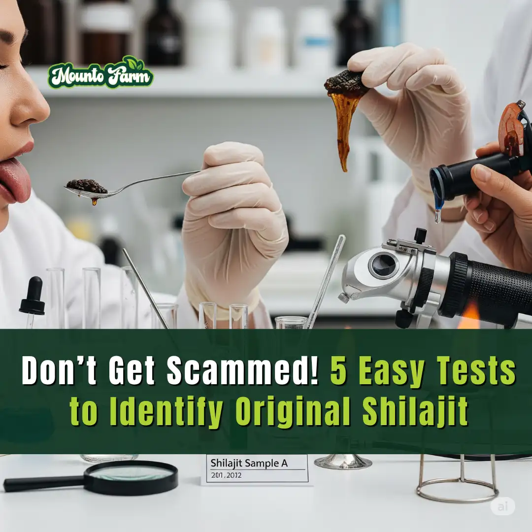 Read more about the article Don’t Get Scammed! 5 Easy Tests to Identify Original Shilajit