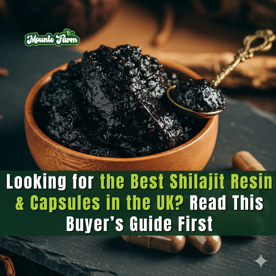 Read more about the article Looking for the Best Shilajit Resin & Capsules in the UK? Read This Buyer’s Guide First