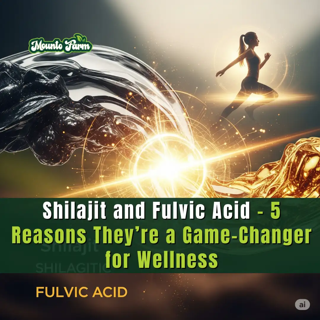 Shilajit and Fulvic Acid – 5 Reasons They’re a Game-Changer for Wellness - Mountofarm Shilajit