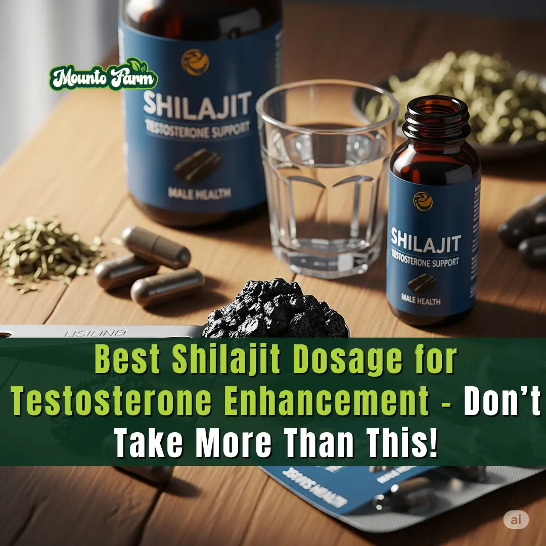 Read more about the article Best Shilajit Dosage for Testosterone Enhancement – Don’t Take More Than This!