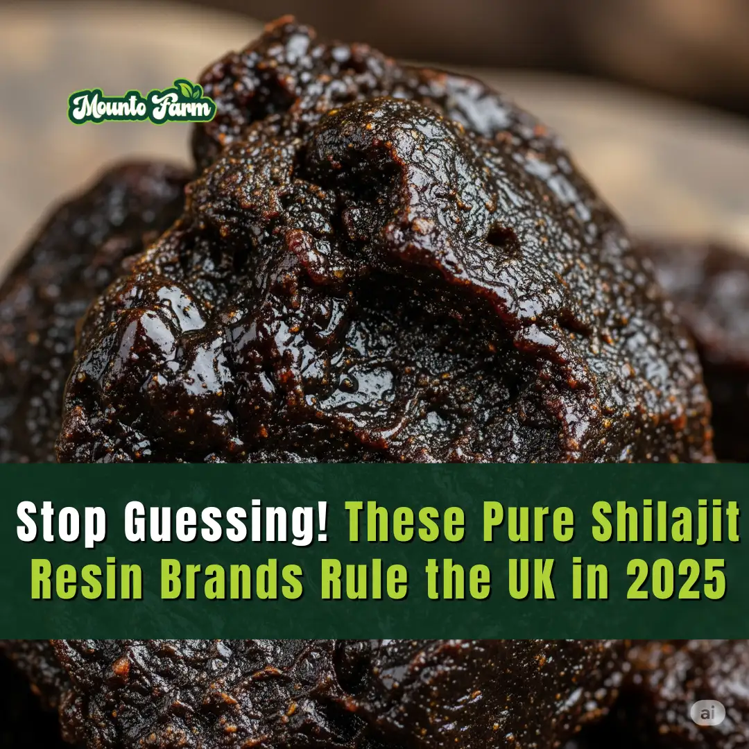 Stop Guessing! These Pure Shilajit Resin Brands Rule the UK in 2025 - Mountofarm Shilajit