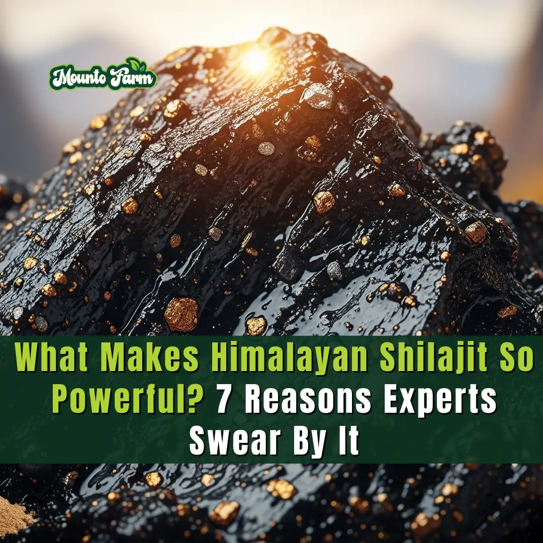 Read more about the article What Makes Himalayan Shilajit So Powerful? 7 Reasons Experts Swear By It