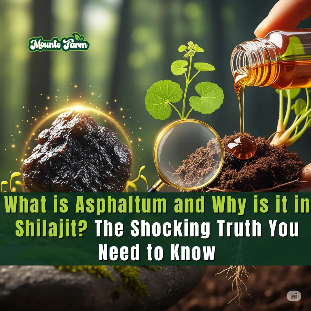 What is Asphaltum and Why is it in Shilajit? The Shocking Truth You Need to Know - Mountofarm Shilajit